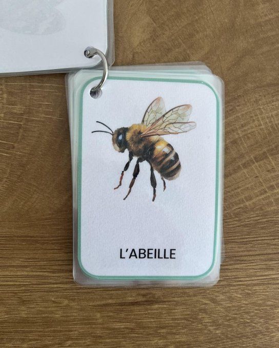 Les insectes