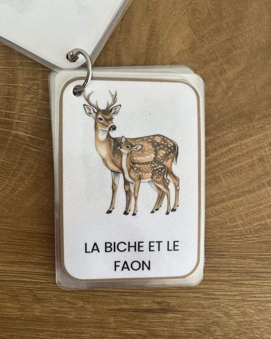 Les animaux de la forêt