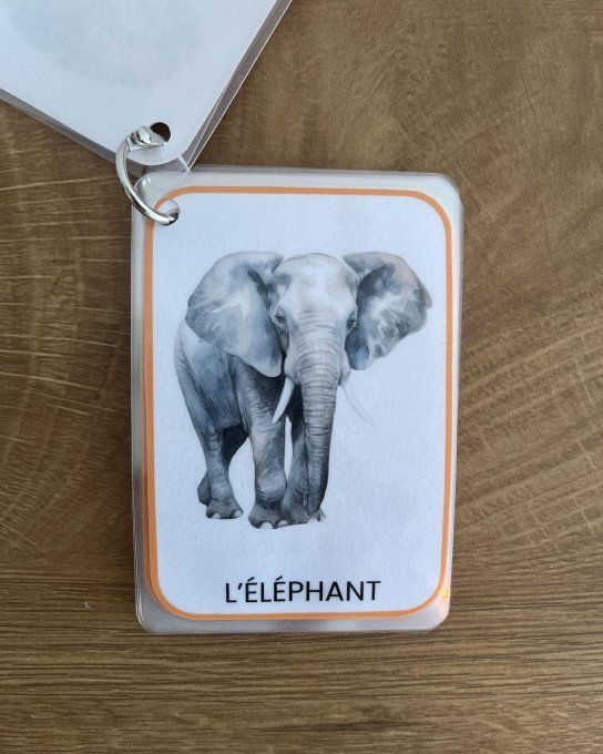 Les animaux de la savane