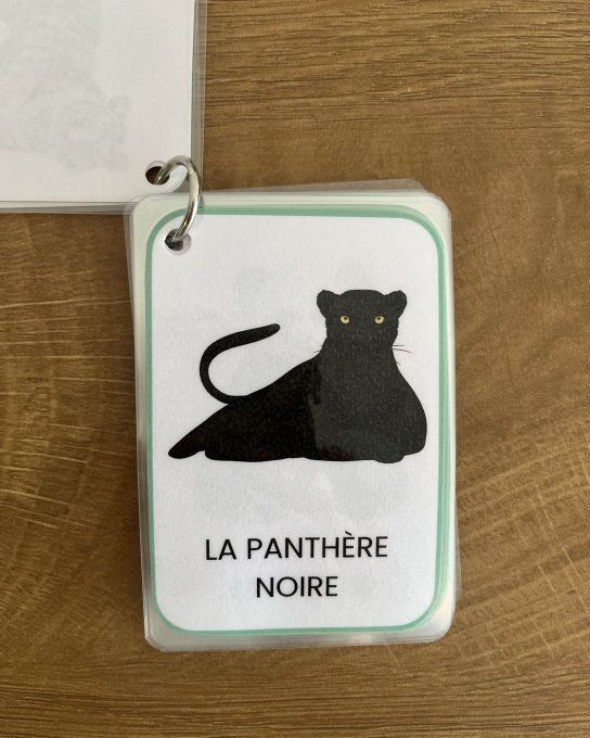 Les animaux de la jungle