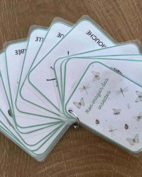 Les insectes
