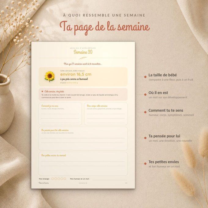 Mon journal de grossesse