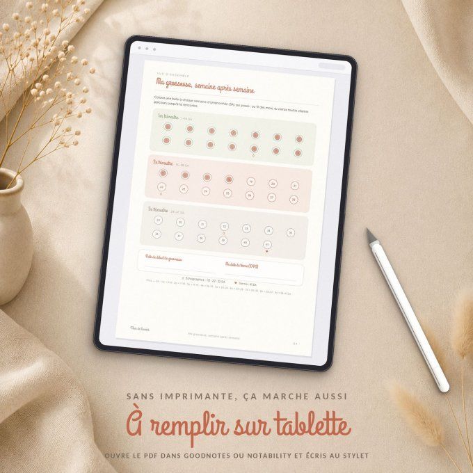 Mon journal de grossesse