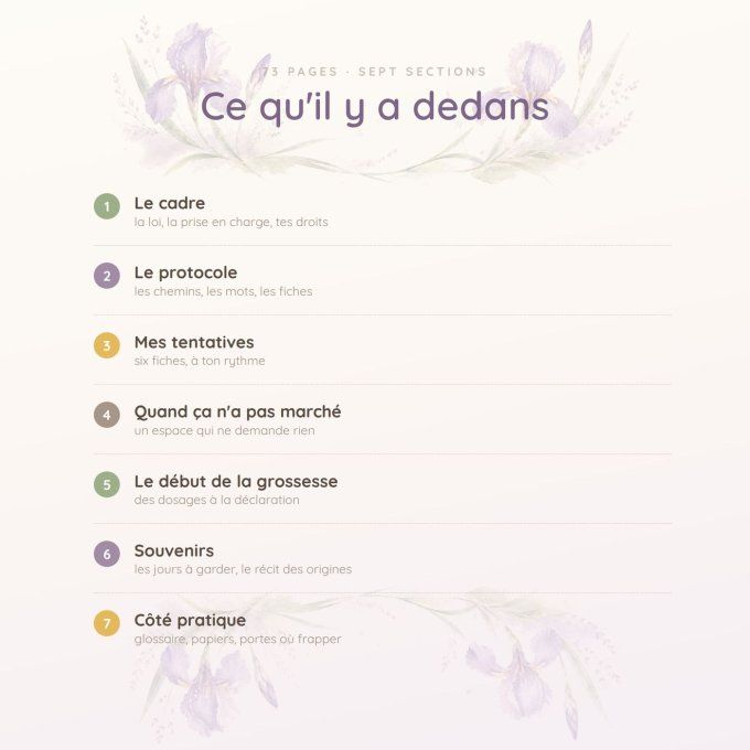 Mon parcours PMA — en solo